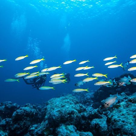 Bangaram Island Beach Resort Екстер'єр фото